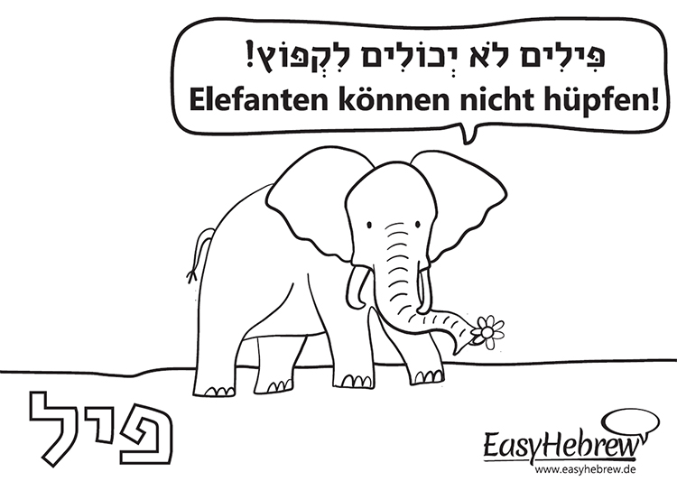 Elefant